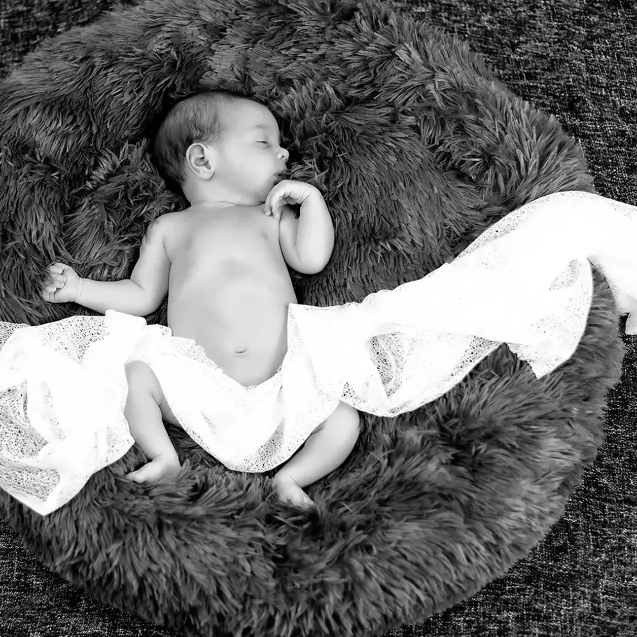 sesión fotos photofanhouse