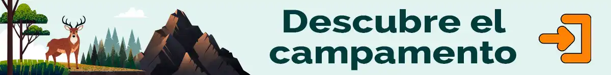 campamento turma zamora