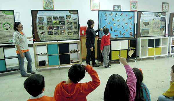 Aula de la naturaleza. Actividades desarrolladas con niños. Turma Ocio.